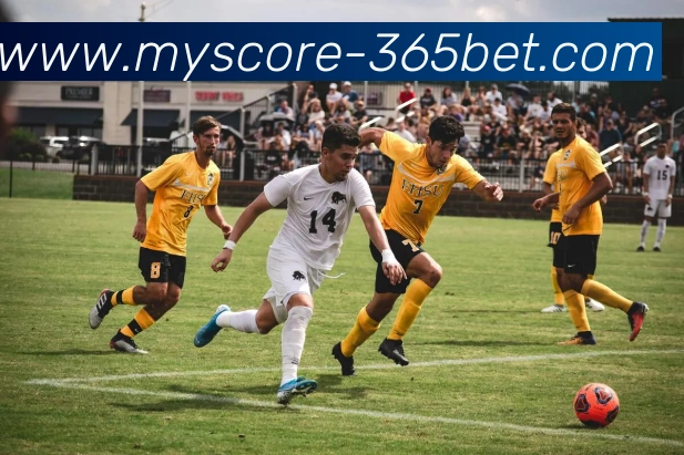 365bet平台生态图